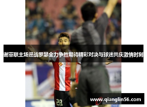 谢菲联主场迎战罗瑟全力争胜期待精彩对决与球迷共庆激情时刻