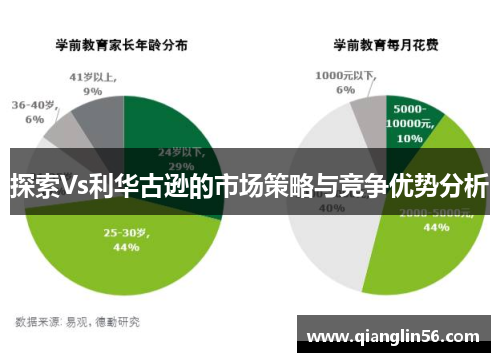 探索Vs利华古逊的市场策略与竞争优势分析